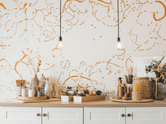 了普遍的赞誉和承认