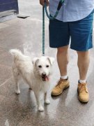 <b>从而享受愈加充分的糊口</b>